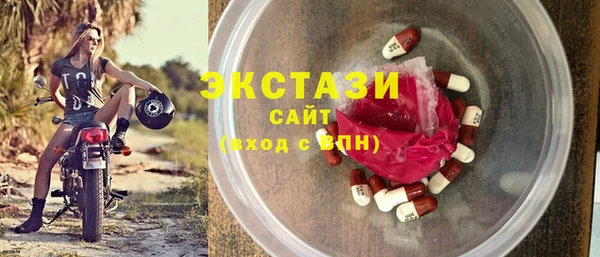 ECSTASY Богданович